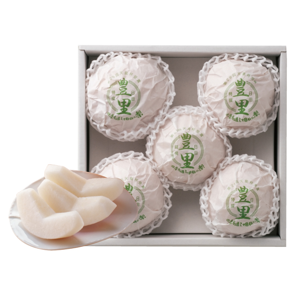 cY L(ق) (HL-60)y͂ԁF12{`z